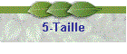 5-Taille